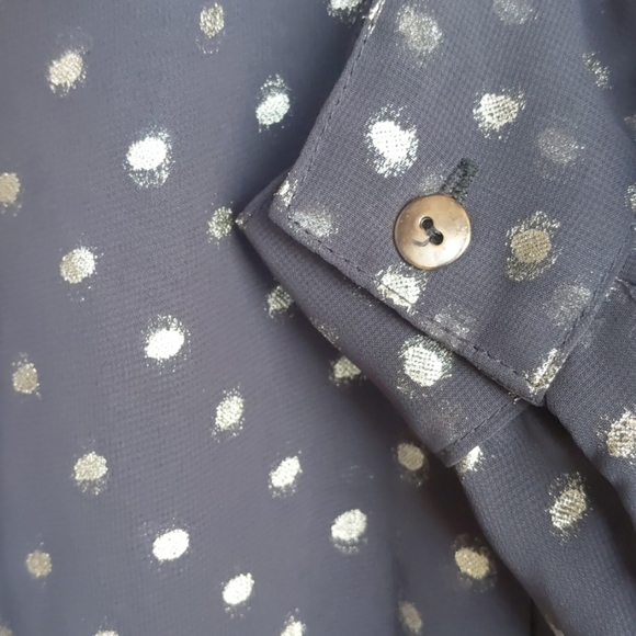 Sheer Button Up - Picture 3 of 4